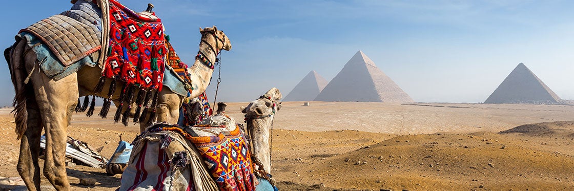 Egypt: Independent Trip or Escorted Tour?