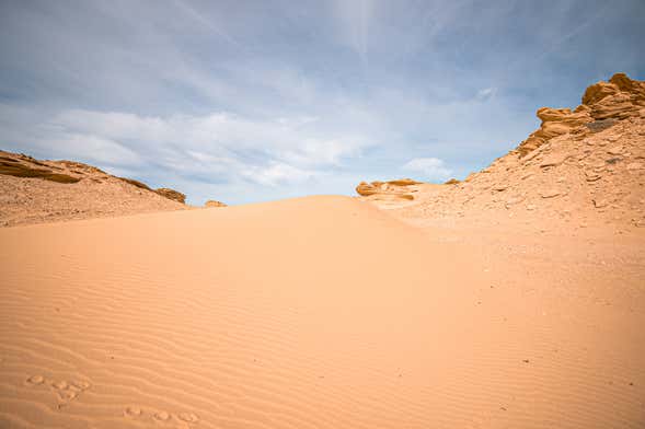 Excursion to the Fayoum Oasis