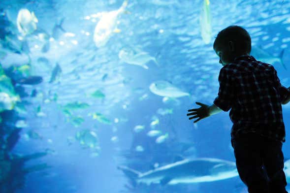 Hurghada Grand Aquarium Trip