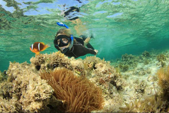 Orange Bay Snorkel Tour